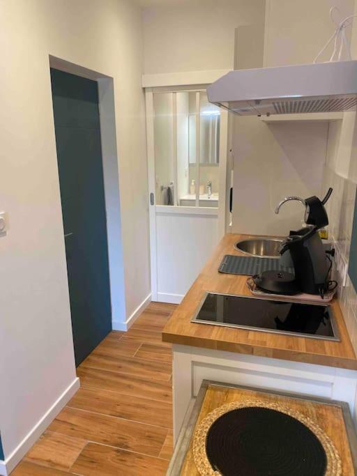 Studio Du Chateau Climatisee Carcassone Kültér fotó